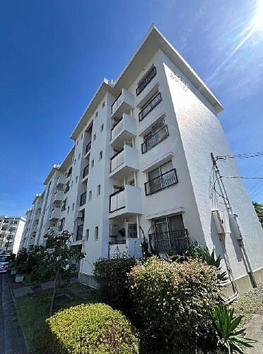 大阪府堺市南区槇塚台２丁 5階建 築51年10ヶ月