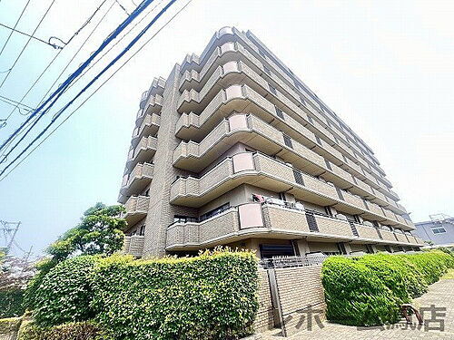 大阪府堺市中区深井清水町 9階建 築34年9ヶ月