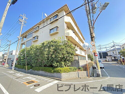 大阪府泉大津市東雲町 賃貸マンション