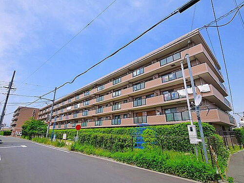 奈良県奈良市大森町 5階建