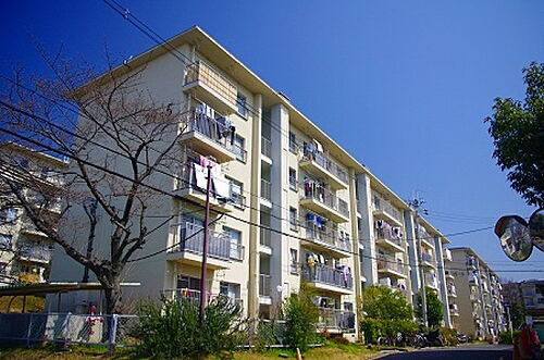 大阪府堺市南区晴美台１丁 賃貸マンション