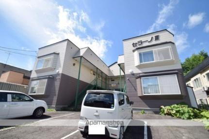 セラーノIII 旭川駅 1LDK 賃貸(賃貸マンション・アパート)