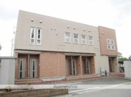 グレープ　シード