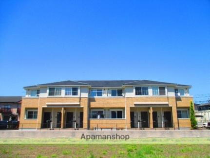 ｂ　Ｃａｄｅｔｔｅ（カデット）