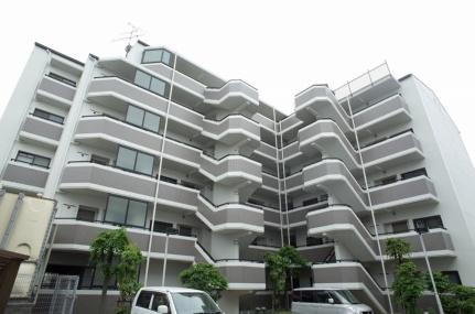 グレイシィーＫ・Ｙ