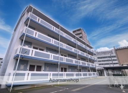 サザンセレスト