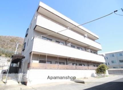 ハミングバード 3階建