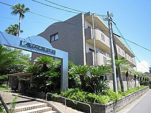 鹿児島県鹿児島市光山２丁目 賃貸マンション