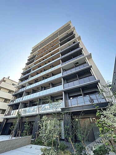 大阪府大阪市東成区中道３丁目 13階建 