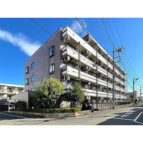 東京都八王子市明神町１丁目 5階建 築31年6ヶ月