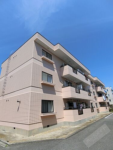 大阪府泉大津市式内町 3階建 築31年4ヶ月