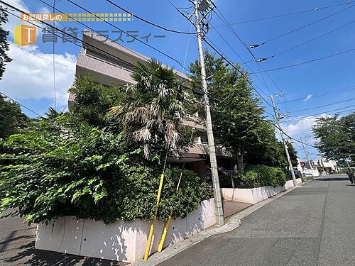 千葉県市川市大野町２丁目 4階建