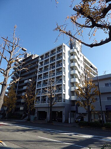 東京都八王子市並木町 8階建 築31年8ヶ月