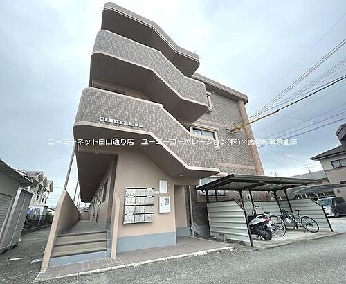 Ｃｉｒｕｅｌａ須屋