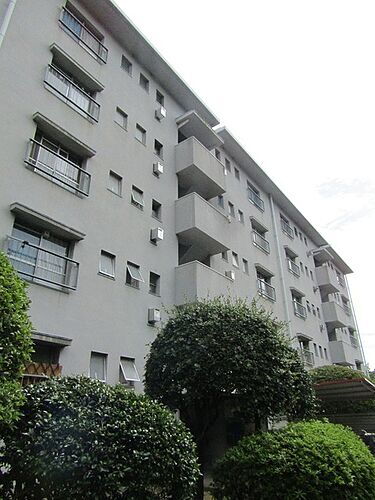 大阪府堺市北区東浅香山町３丁 賃貸マンション