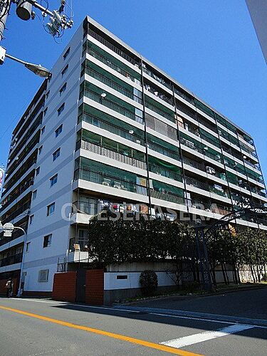 雅叙園ハイツ 10階建