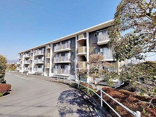 静岡県富士宮市泉町 3階建 築36年7ヶ月