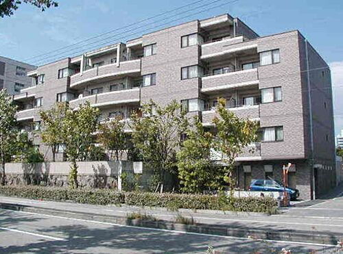 兵庫県西宮市上甲子園１丁目 築30年8ヶ月 5階建