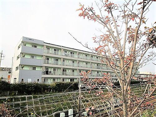神奈川県座間市相模が丘１丁目 4階建
