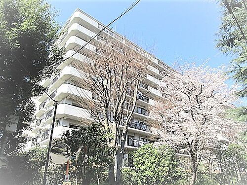 神奈川県座間市相模が丘６丁目 10階建 築35年5ヶ月