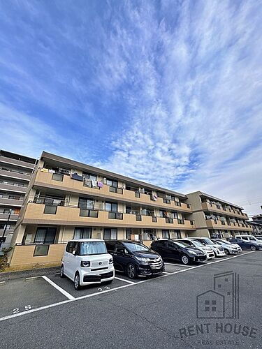 大阪府泉大津市東雲町 3階建 築33年10ヶ月