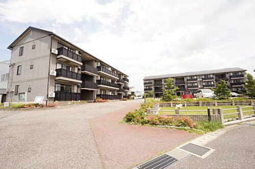 新潟県新潟市東区中興野 3階建