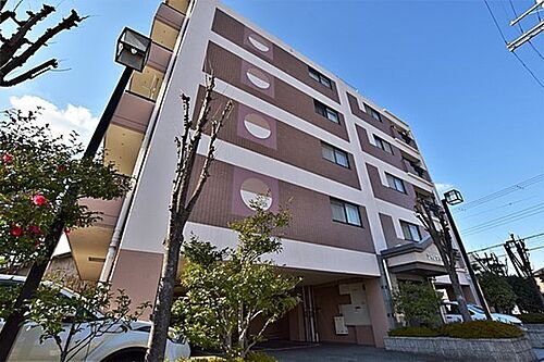 大阪府松原市天美東８丁目 6階建 築29年7ヶ月