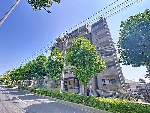 兵庫県神戸市東灘区御影郡家１丁目 賃貸マンション