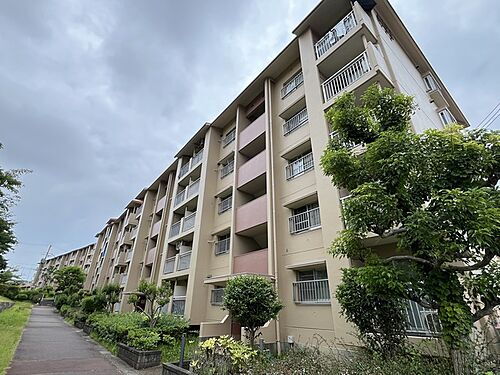 兵庫県神戸市須磨区中落合４丁目 賃貸マンション