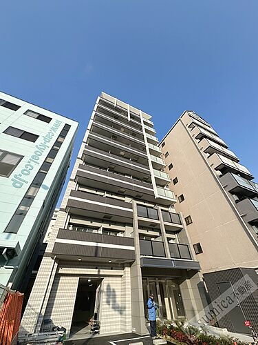 大阪府大阪市東住吉区桑津１丁目 10階建 築1年12ヶ月