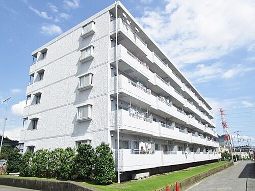 神奈川県伊勢原市高森７丁目 5階建 築34年4ヶ月