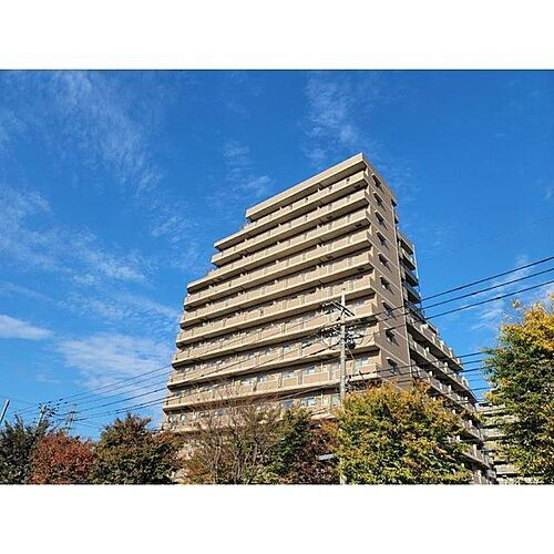 東京都稲城市東長沼 14階建
