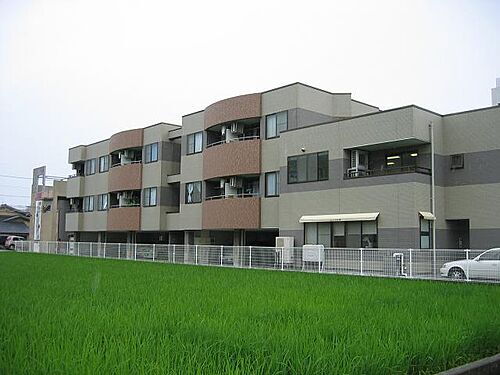 カメリア木野