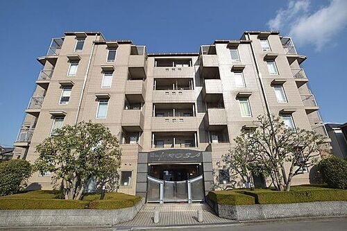 ミングルＲＯＳＡ