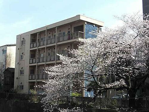 東京都板橋区仲宿 4階建 築54年10ヶ月