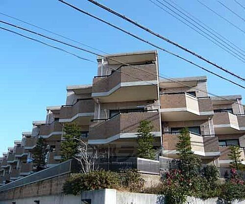 京都府京都市伏見区桃山羽柴長吉中町 賃貸マンション