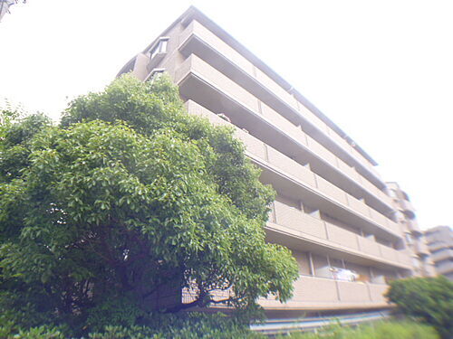 兵庫県神戸市東灘区魚崎南町５丁目 築34年 6階建