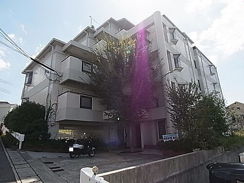 兵庫県神戸市西区池上１丁目 賃貸マンション