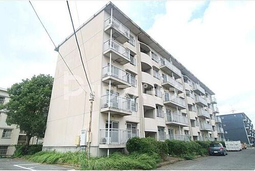 千葉県柏市宿連寺 賃貸マンション