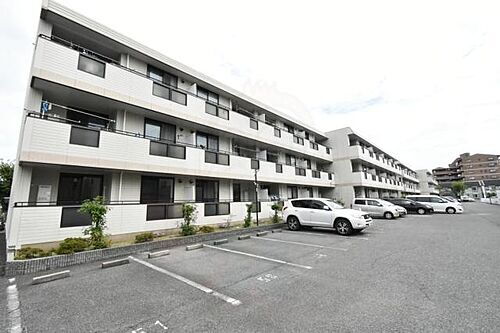 大阪府泉大津市東雲町 賃貸マンション