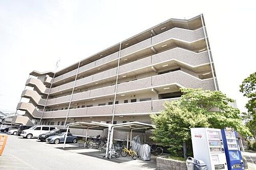 大阪府泉大津市菅原町 賃貸マンション