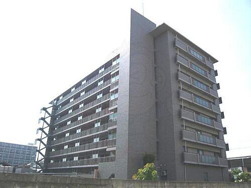 大阪府泉大津市池浦町１丁目 賃貸マンション