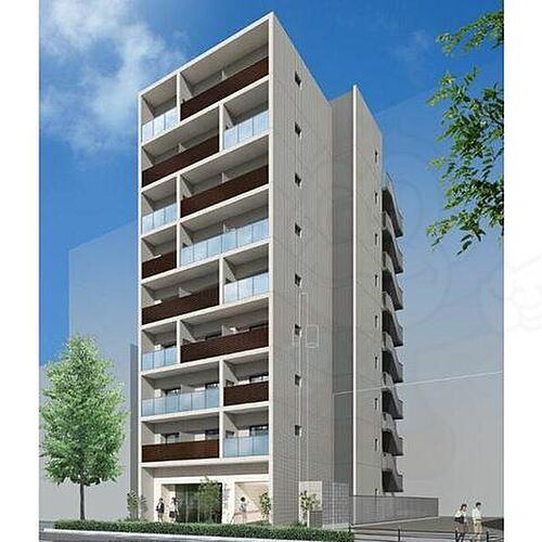 Ｌａｕｌｅ’ａ　Ｋａｓｈｉｍａ