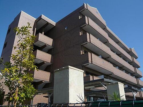 大阪府堺市美原区真福寺 築18年9ヶ月 5階建