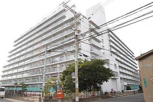 大阪府堺市堺区北庄町１丁 11階建 築38年6ヶ月