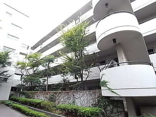 兵庫県神戸市東灘区深江南町１丁目 築40年10ヶ月 5階建