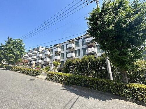 兵庫県芦屋市朝日ケ丘町 築43年8ヶ月 5階建