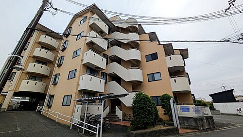 大阪府岸和田市土生町５丁目 5階建 築37年3ヶ月