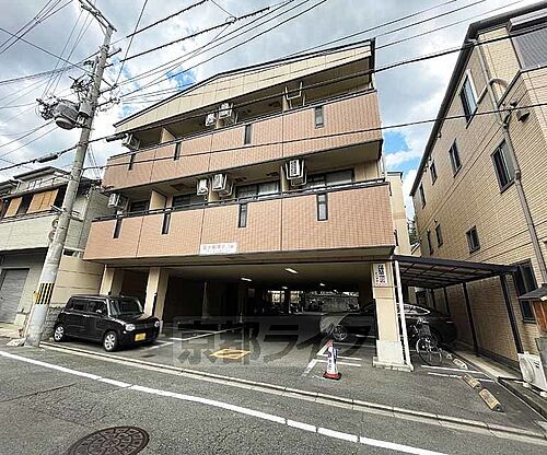 アルビーコート