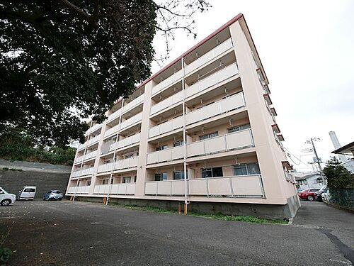 茨城県日立市旭町１丁目 賃貸マンション